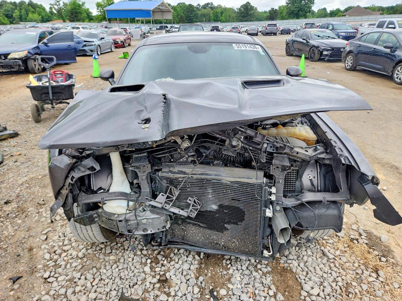 2019 DODGE CHALLENGER