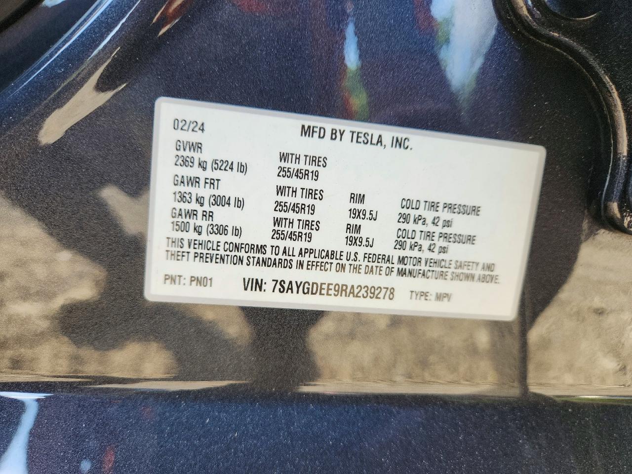 2024 TESLA MODEL Y