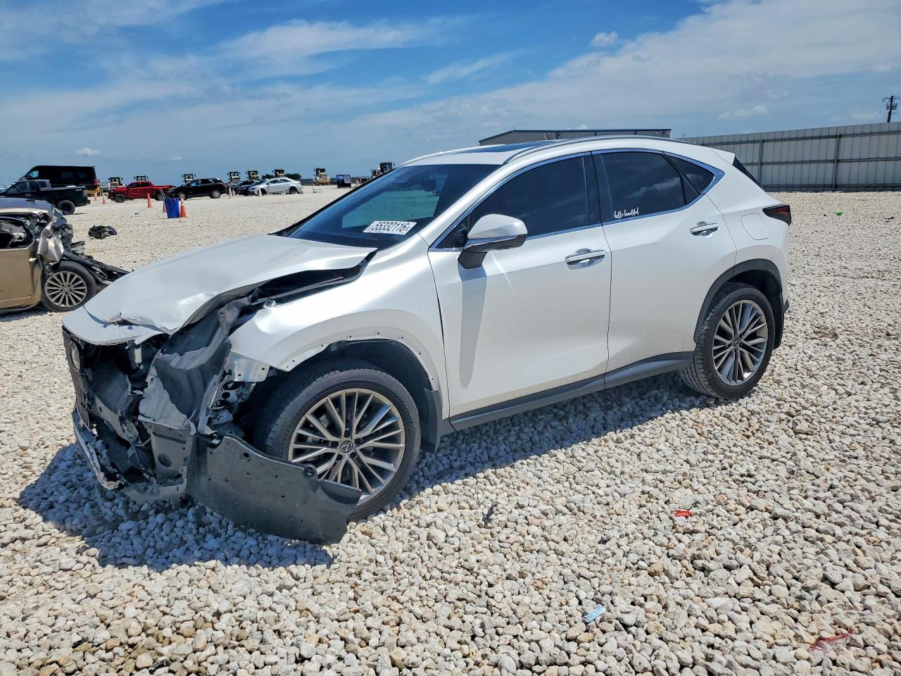 2025 LEXUS NX