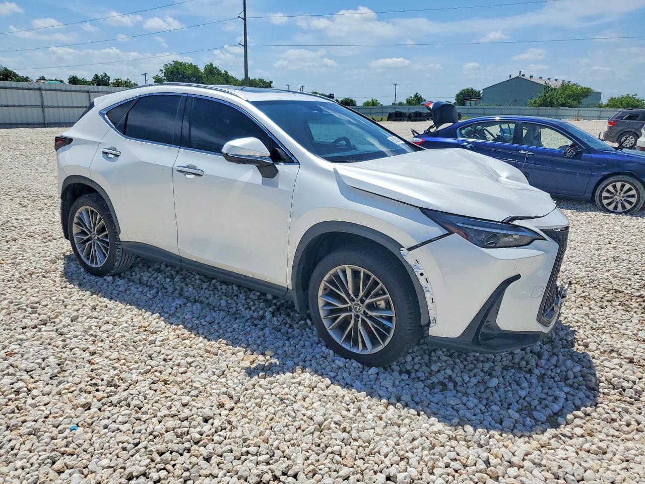 2025 LEXUS NX