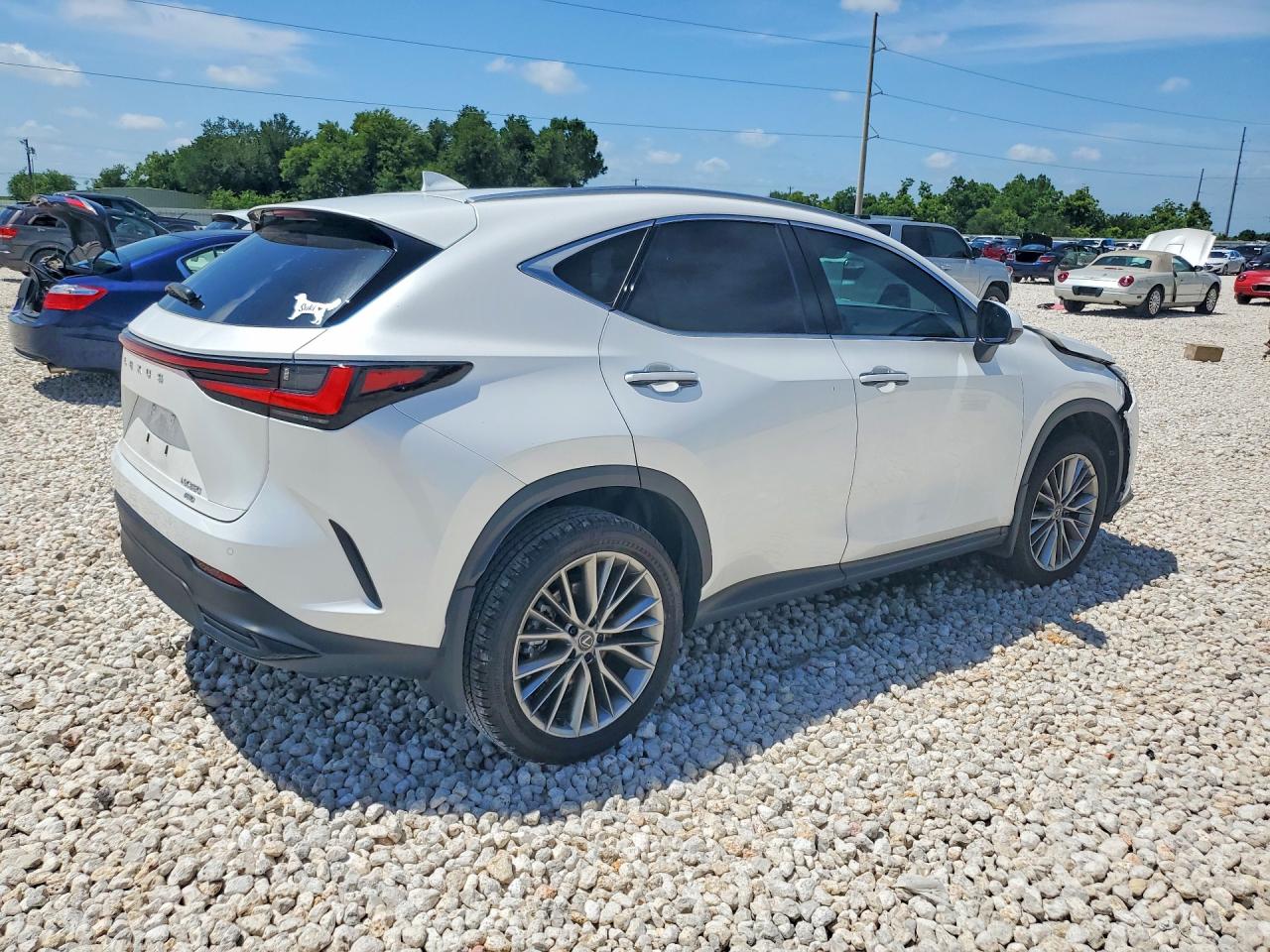 2025 LEXUS NX