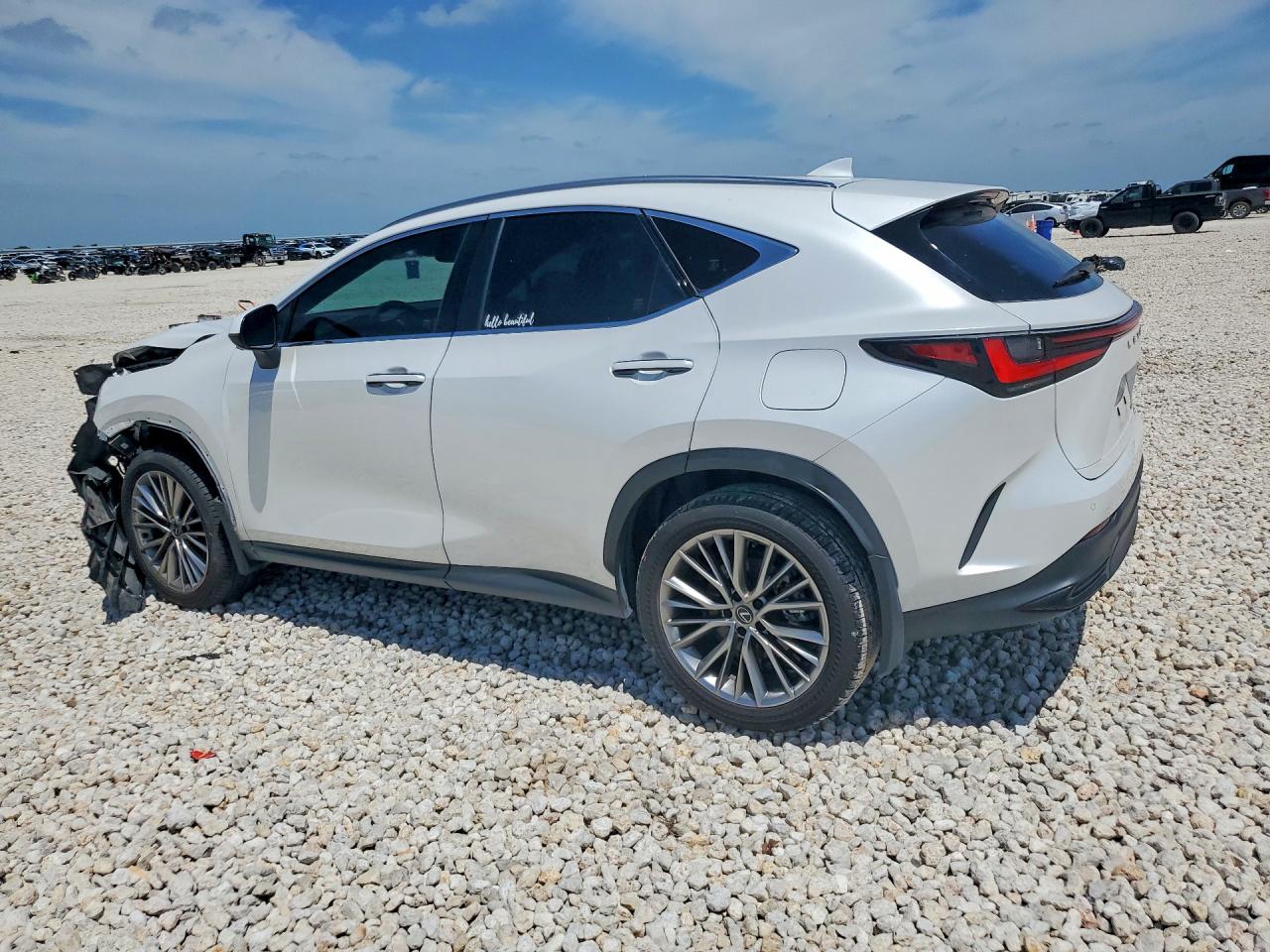 2025 LEXUS NX