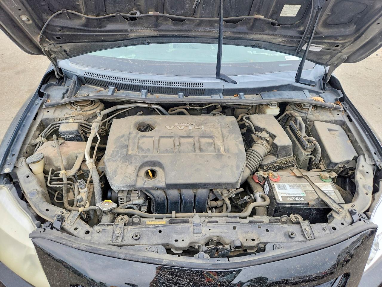 2010 TOYOTA COROLLA