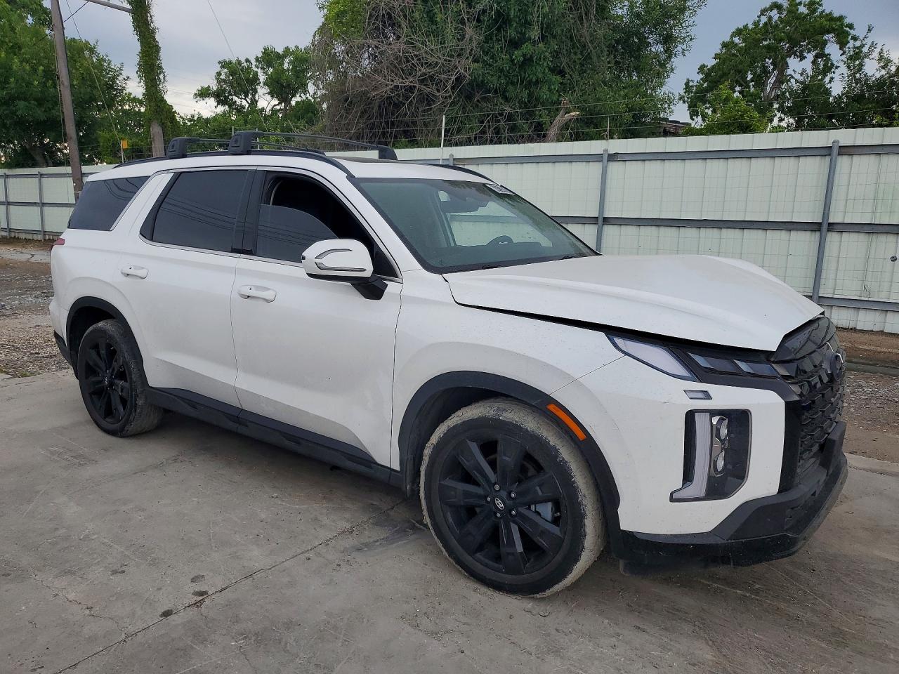 2024 HYUNDAI PALISADE