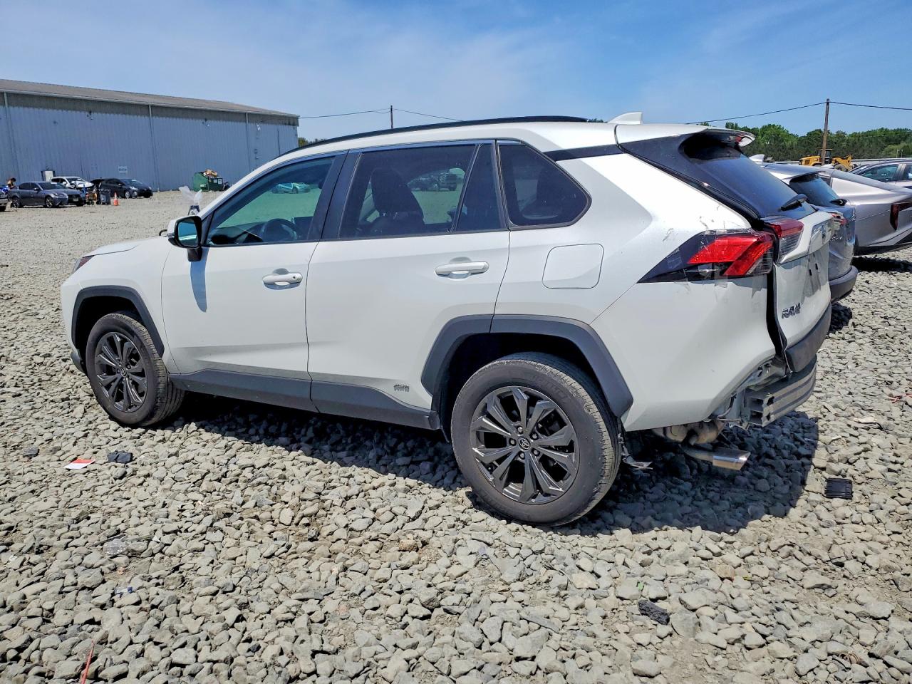 2024 TOYOTA RAV4
