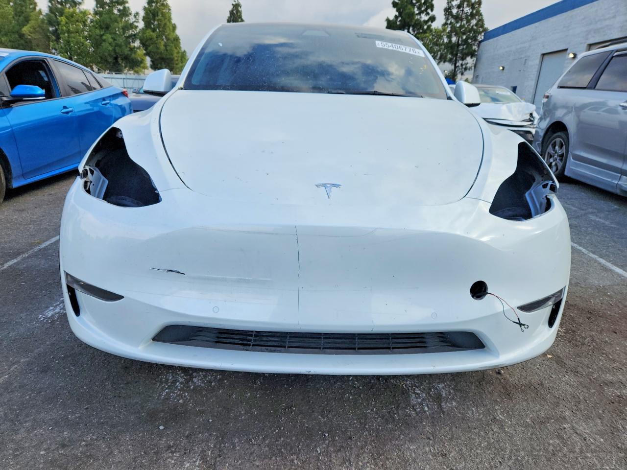 2021 TESLA MODEL Y