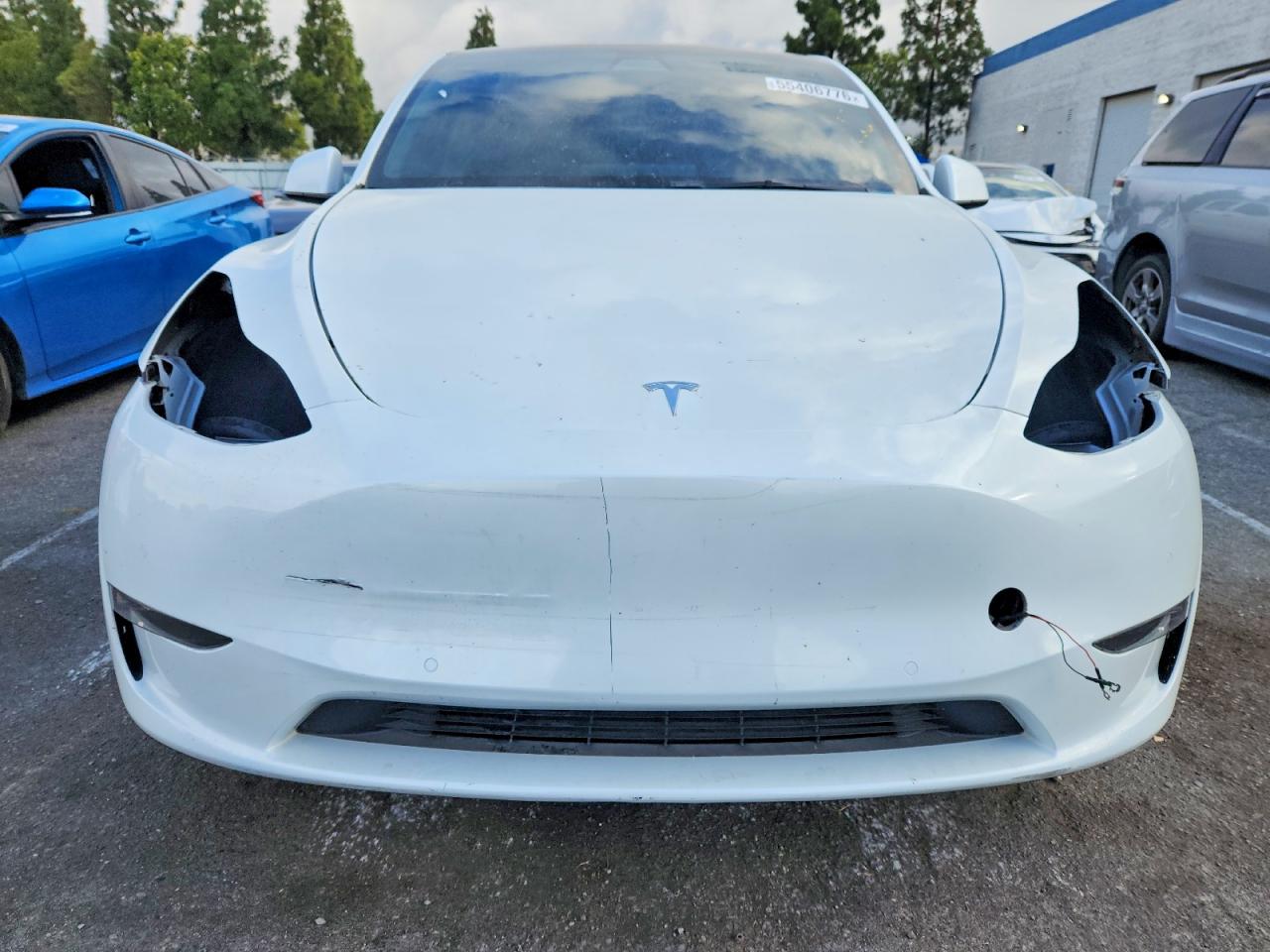 2021 TESLA MODEL Y
