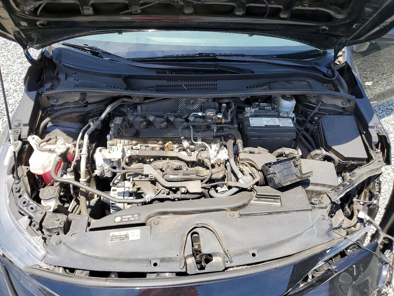 2023 TOYOTA COROLLA