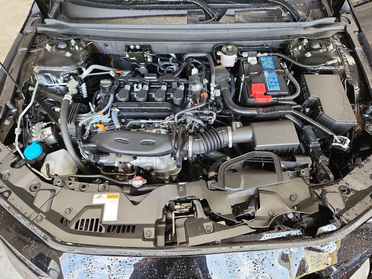 2026 HONDA ACCORD