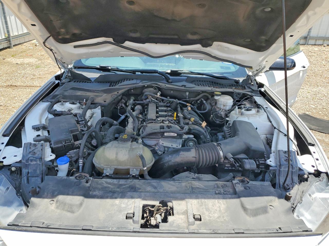2021 FORD ALL Models