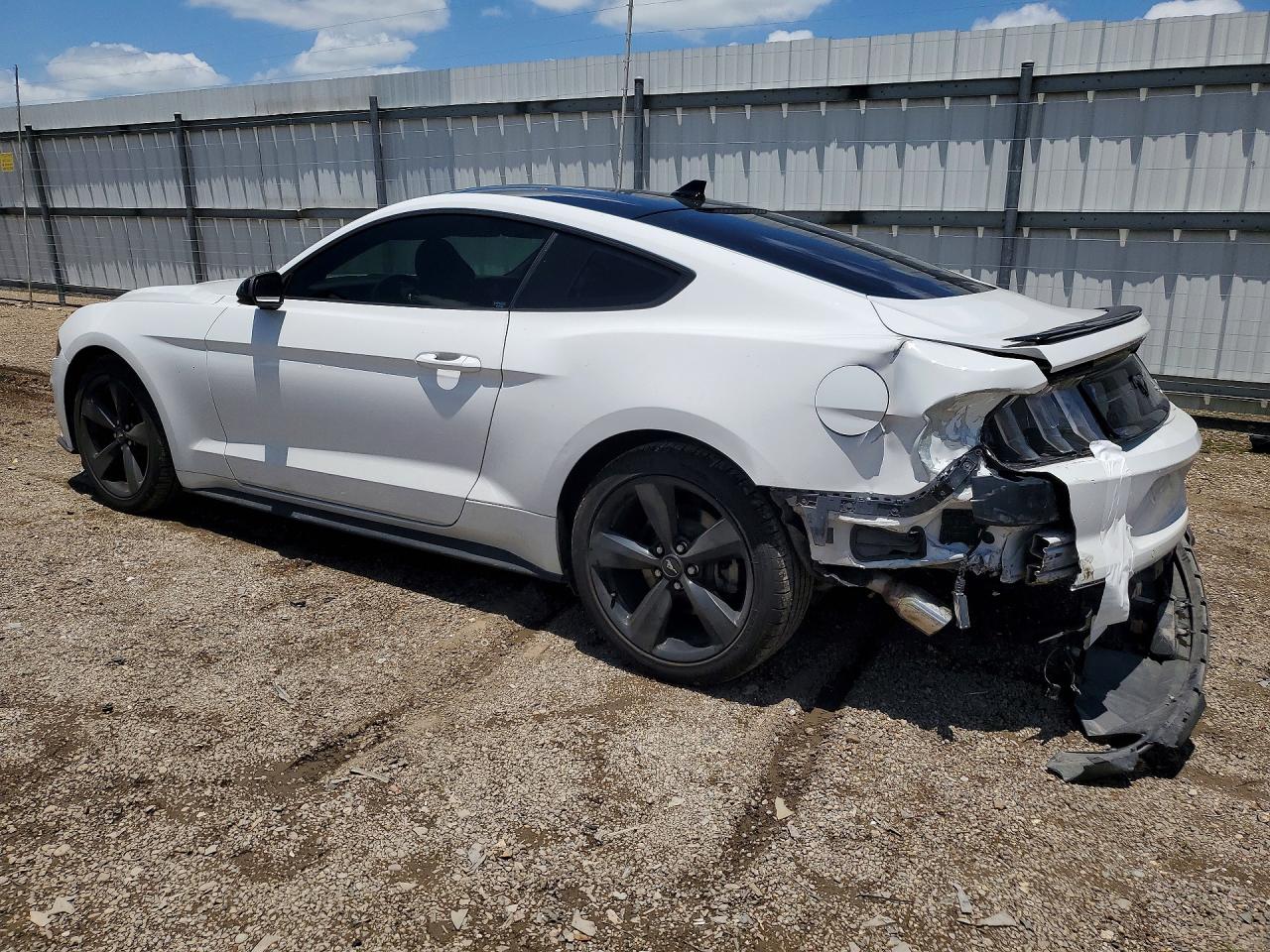 2021 FORD ALL Models