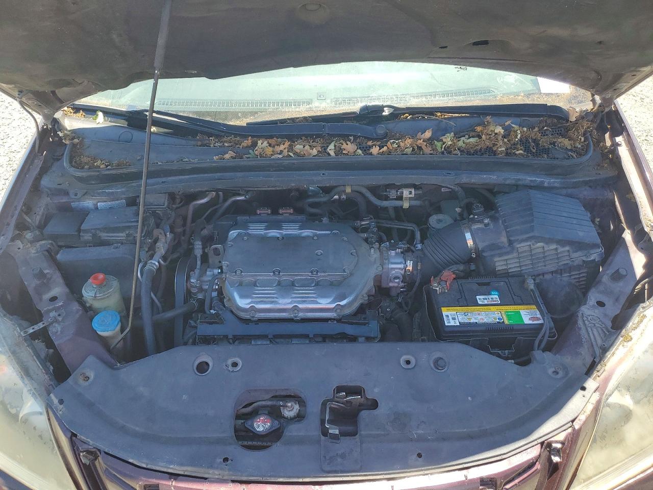 2009 HONDA ODYSSEY