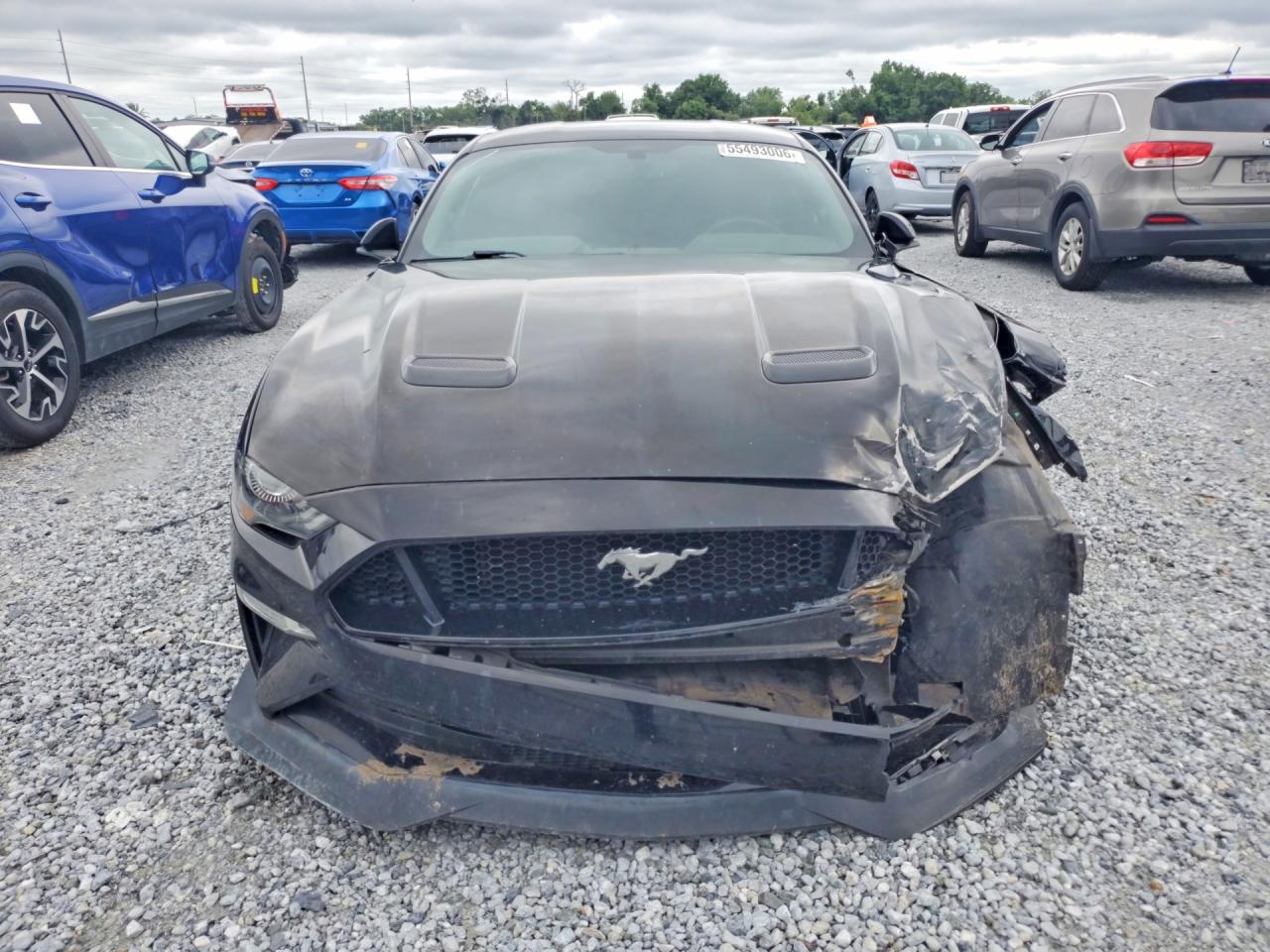 2019 FORD MUSTANG