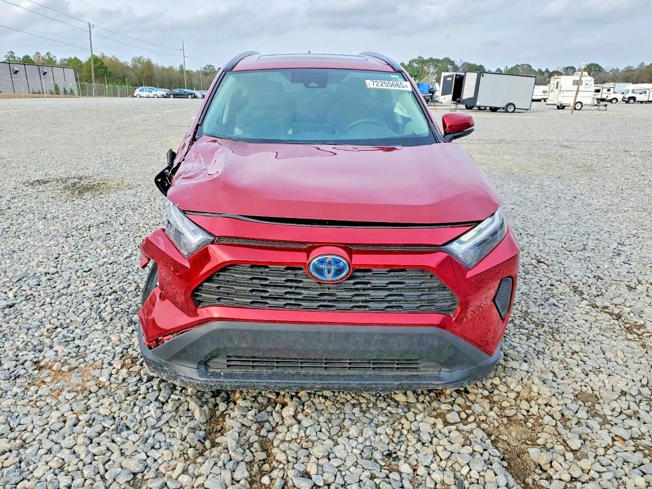2024 TOYOTA RAV4