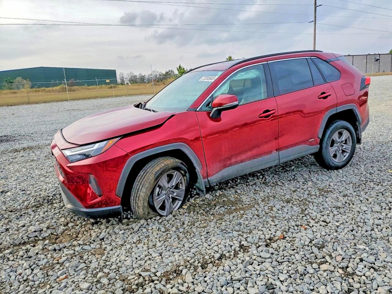 2024 TOYOTA RAV4