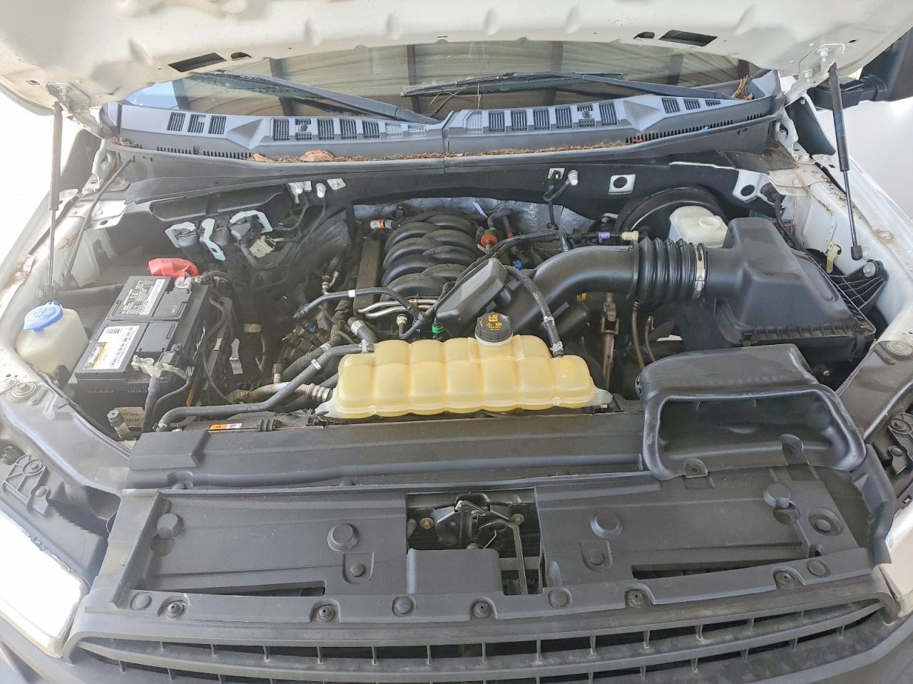 2019 FORD F150