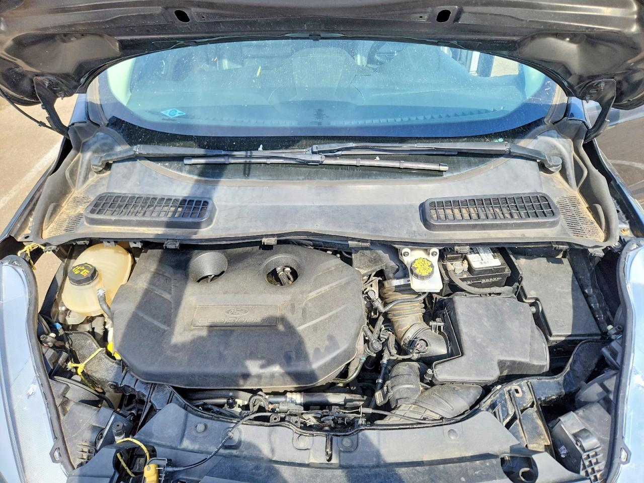 2019 FORD ESCAPE