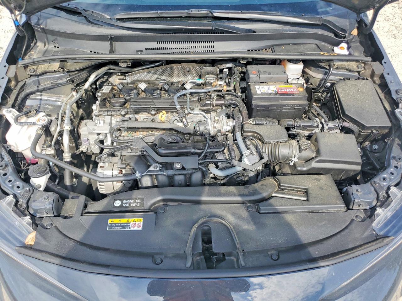 2025 TOYOTA COROLLA