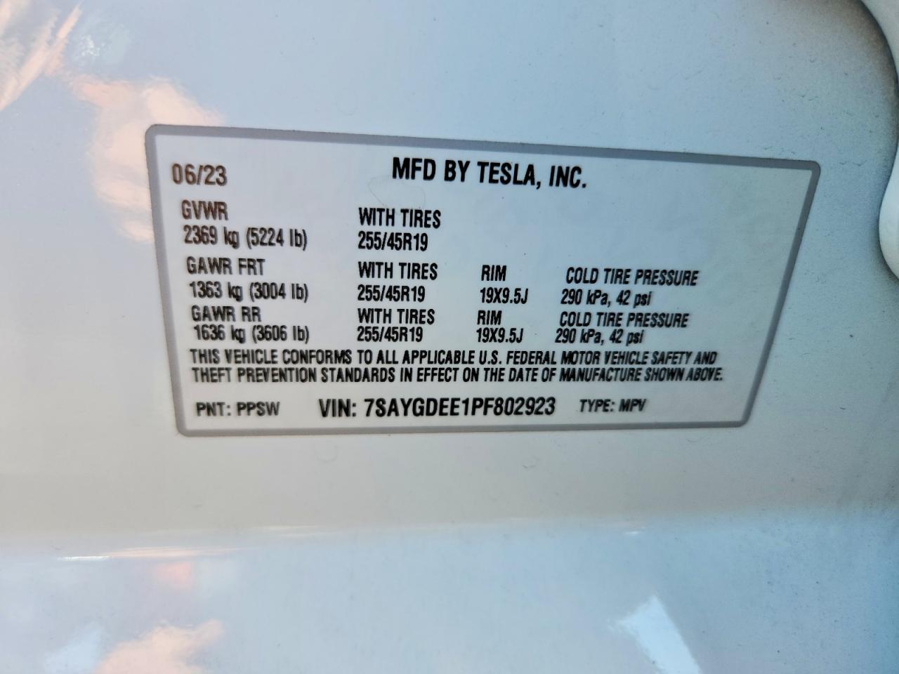 2023 TESLA MODEL Y