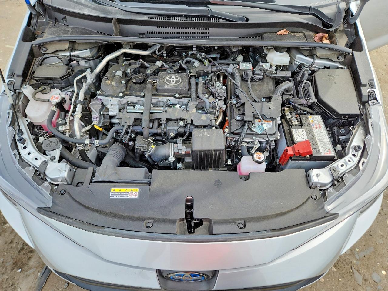 2025 TOYOTA COROLLA
