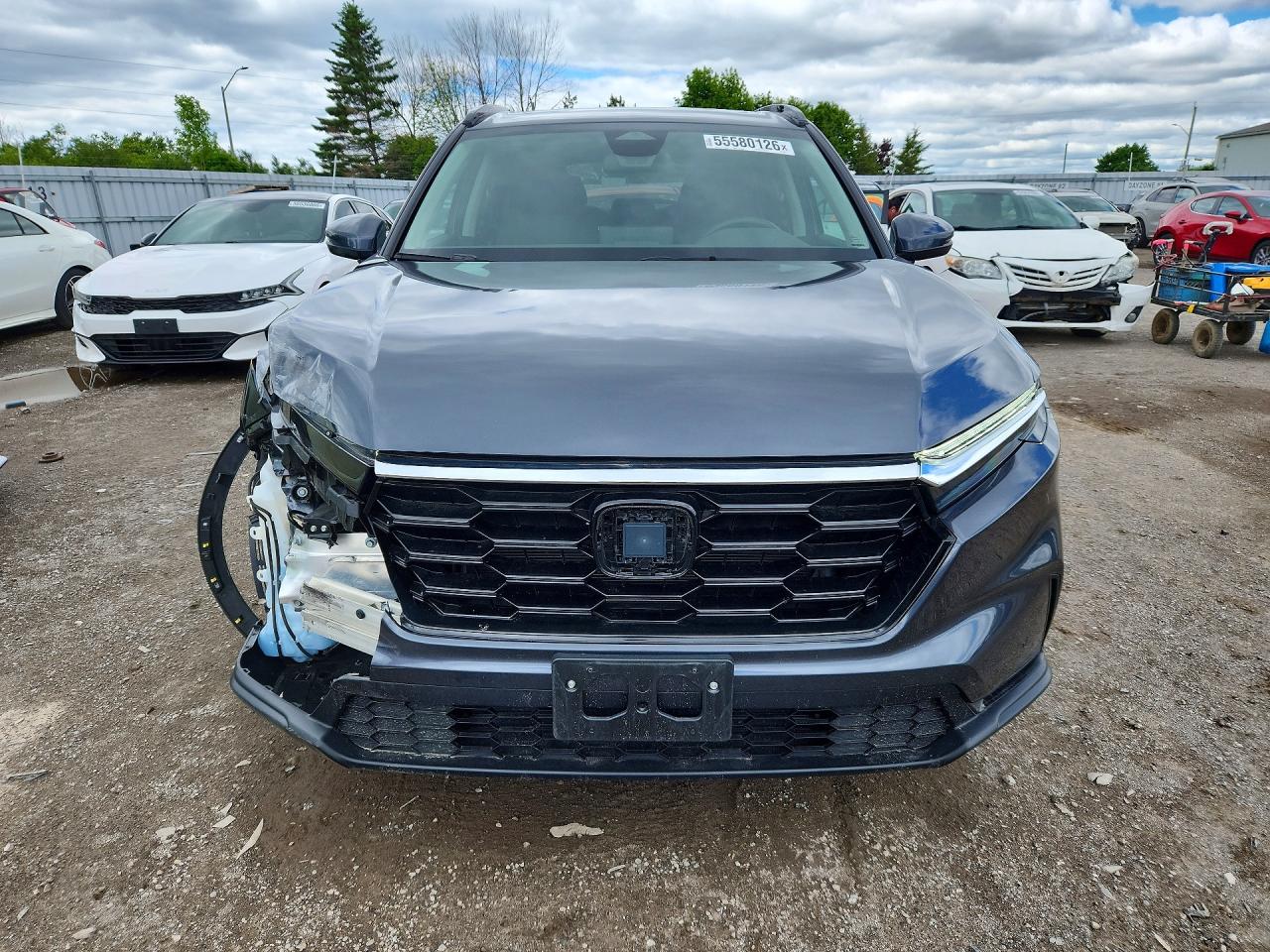 2026 HONDA CRV