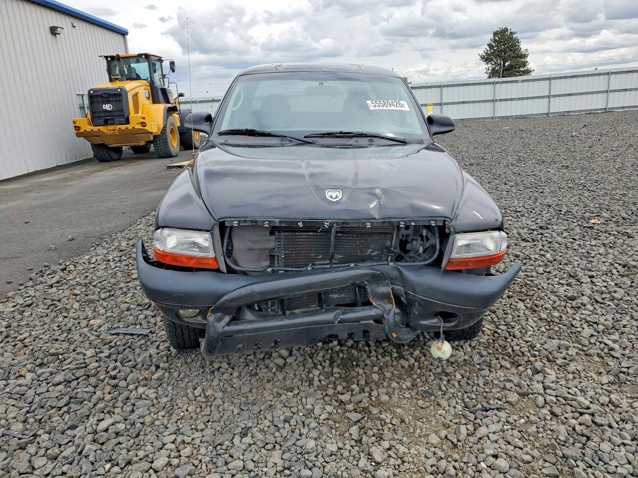 2003 DODGE DAKOTA