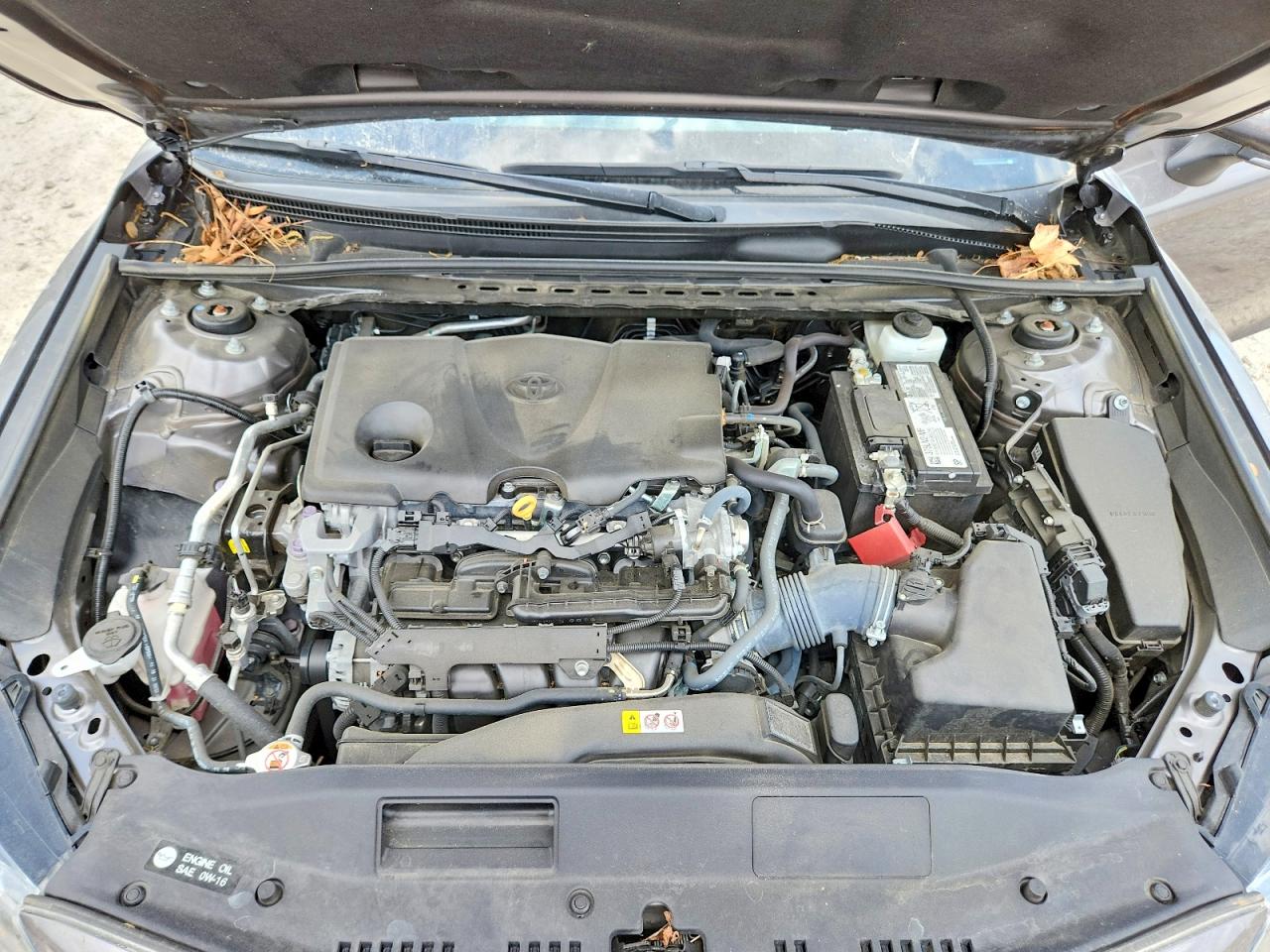 2023 TOYOTA CAMRY
