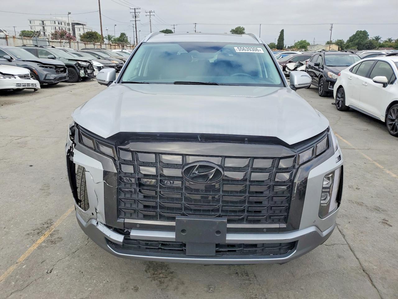 2023 HYUNDAI PALISADE