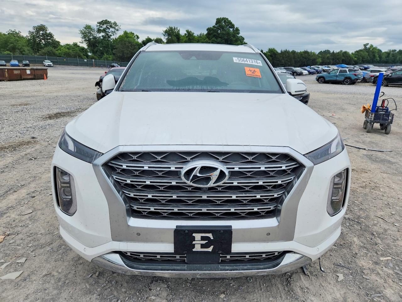 2020 HYUNDAI PALISADE