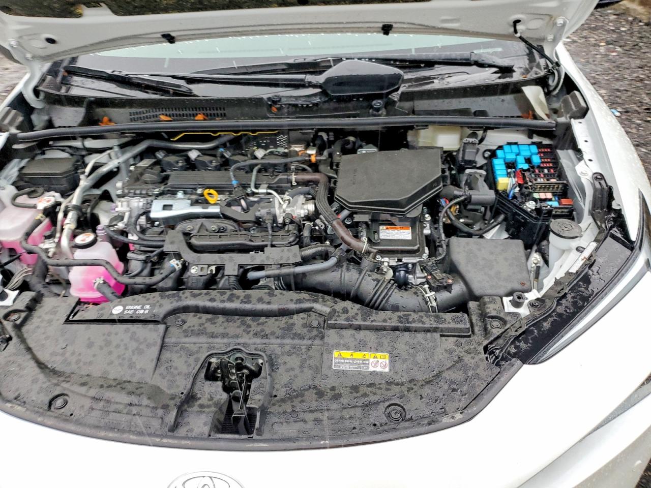 2026 TOYOTA PRIUS