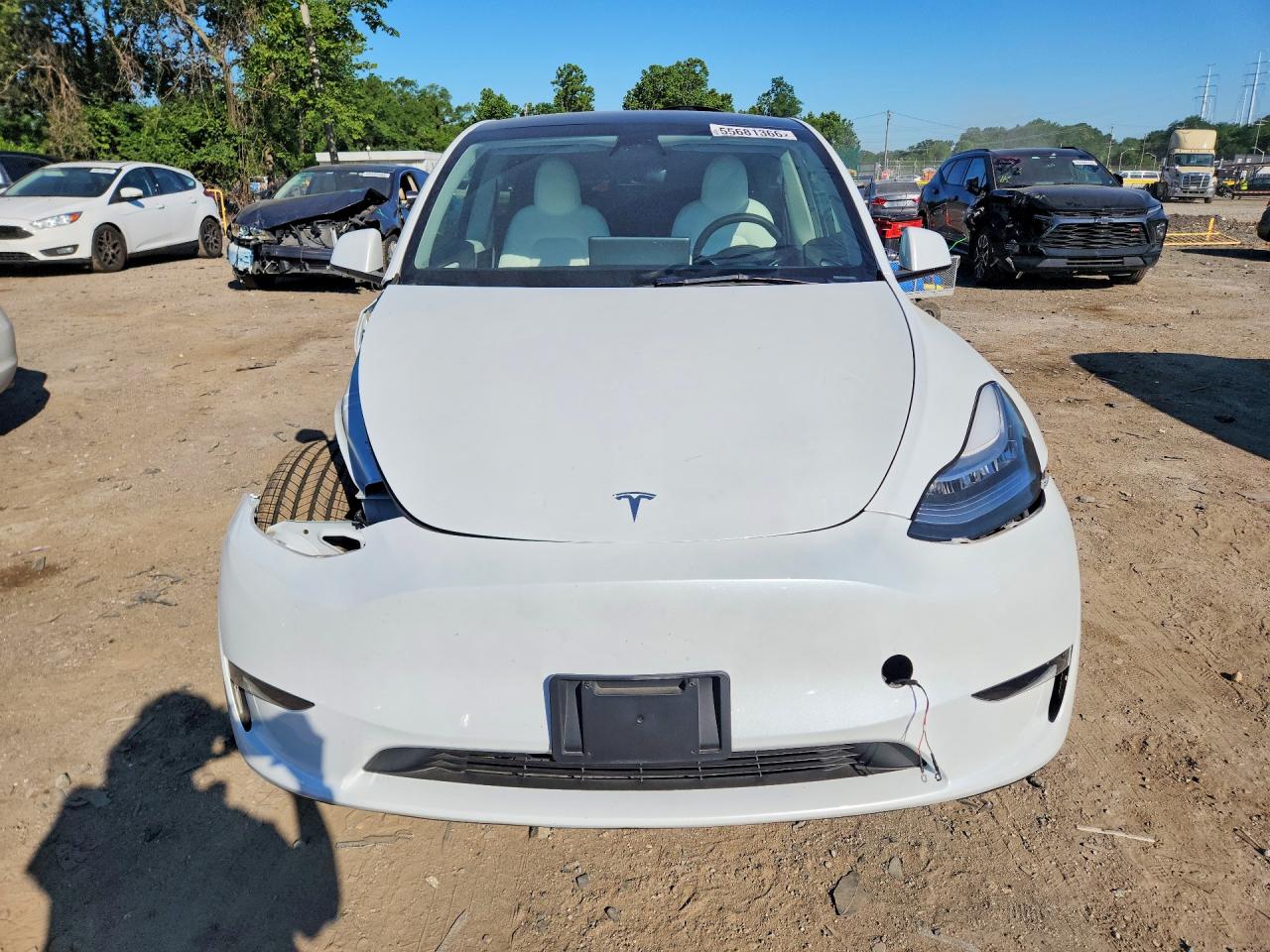 2023 TESLA MODEL Y