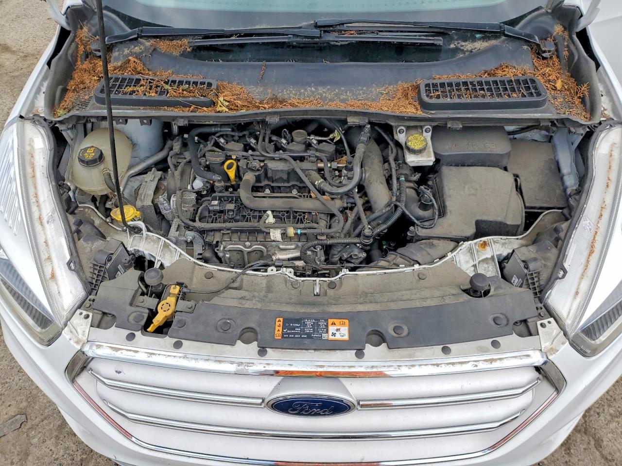 2019 FORD ESCAPE