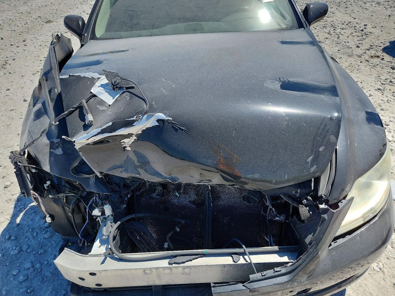 2007 LEXUS LS460