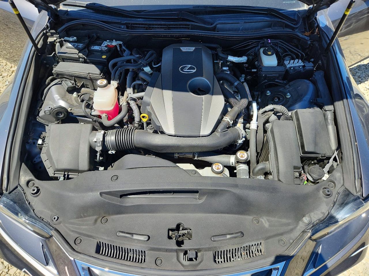 2019 LEXUS IS