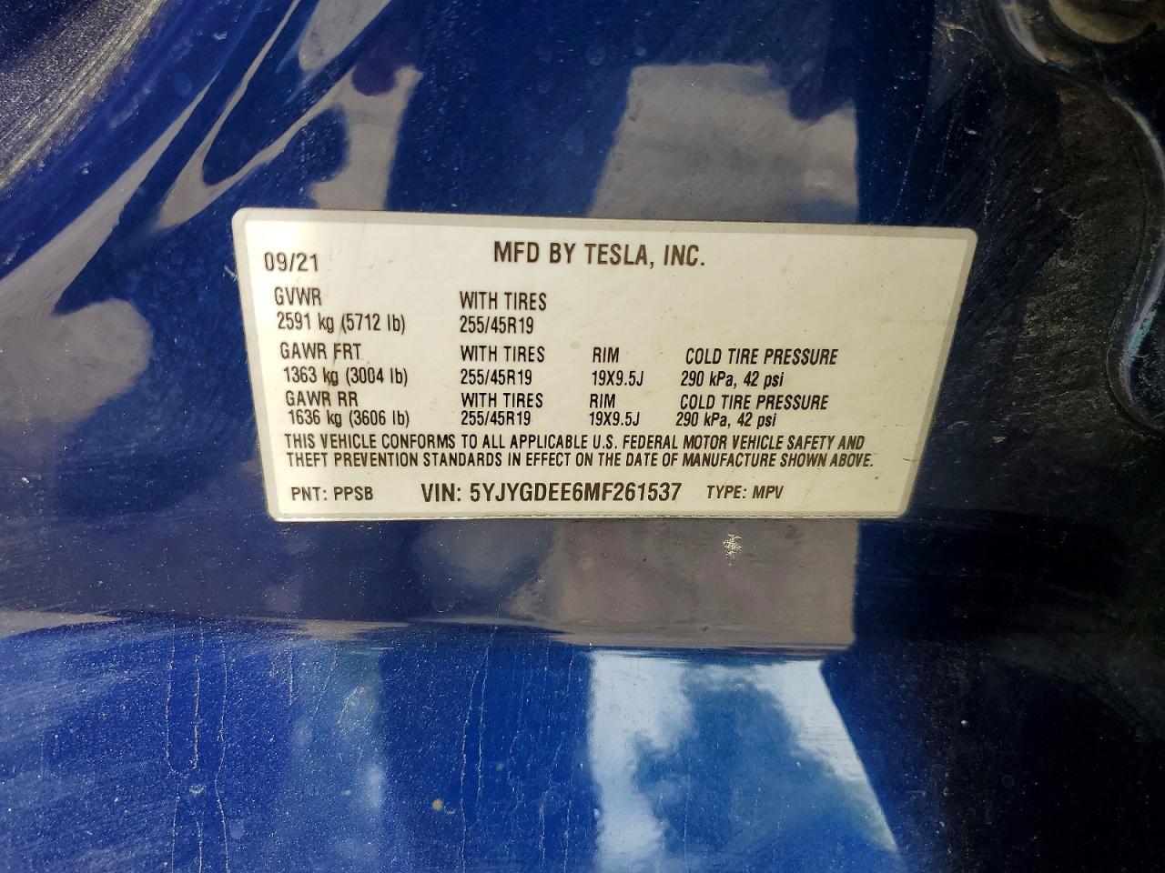 2021 TESLA MODEL Y