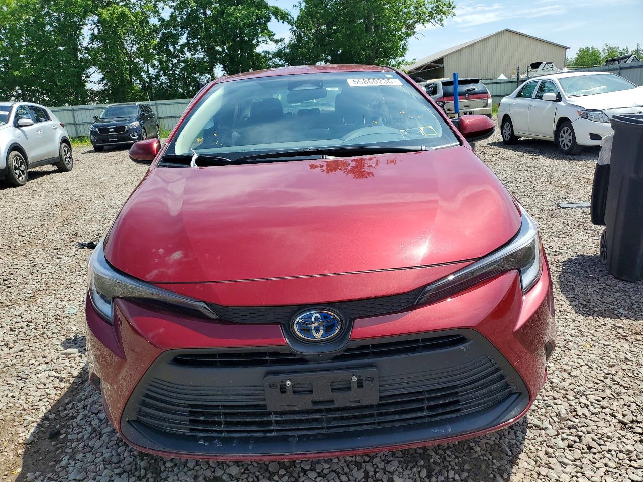 2025 TOYOTA COROLLA