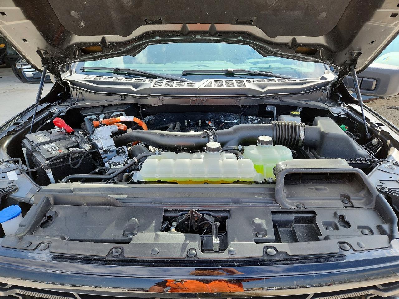 2024 FORD F150
