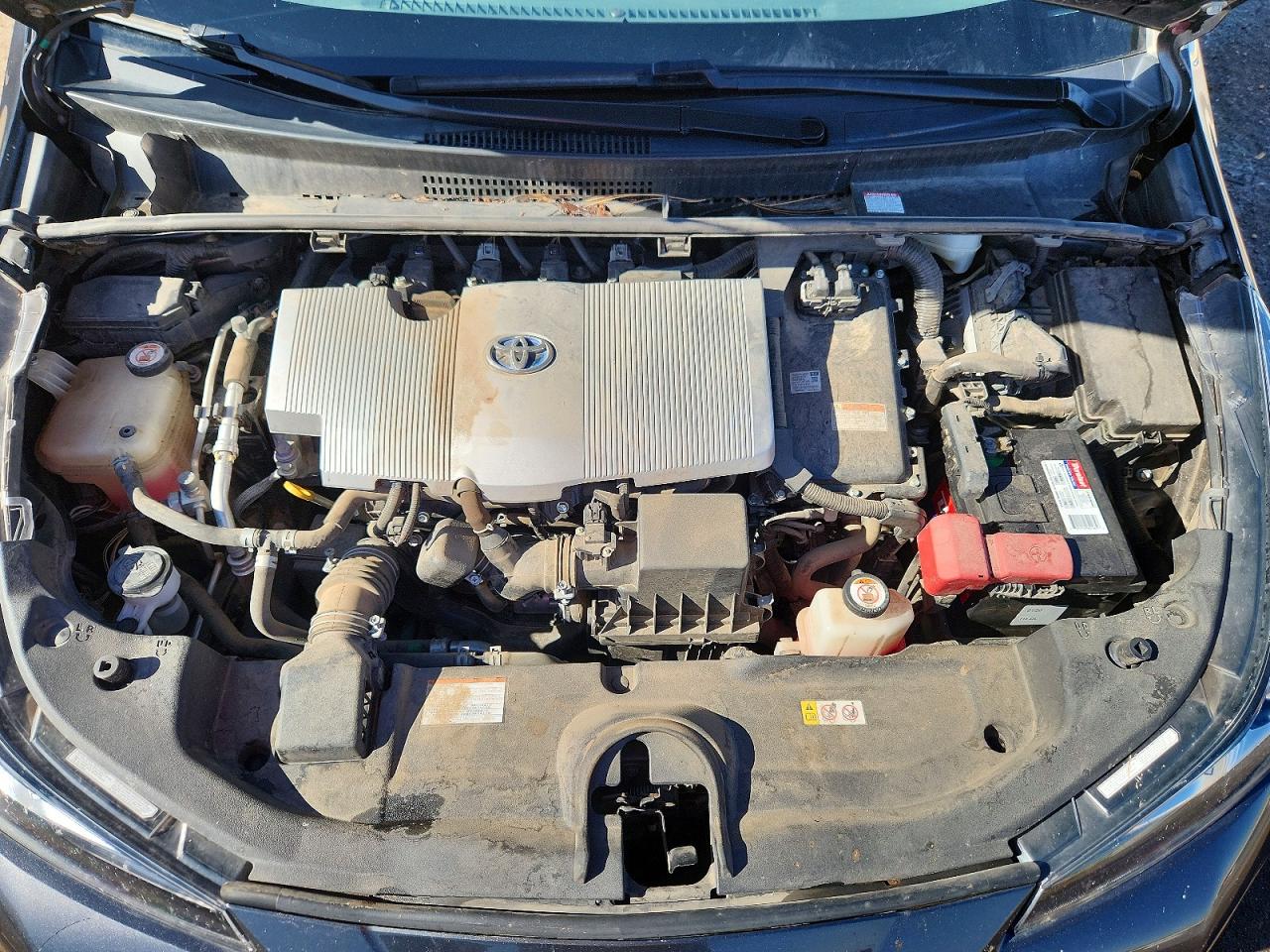 2019 TOYOTA PRIUS
