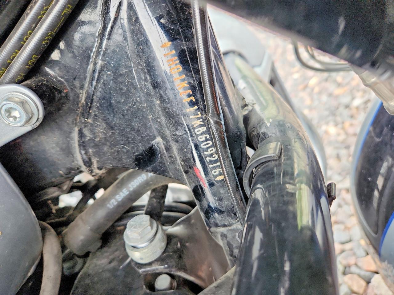 2019 HARLEY-DAVIDSON FL