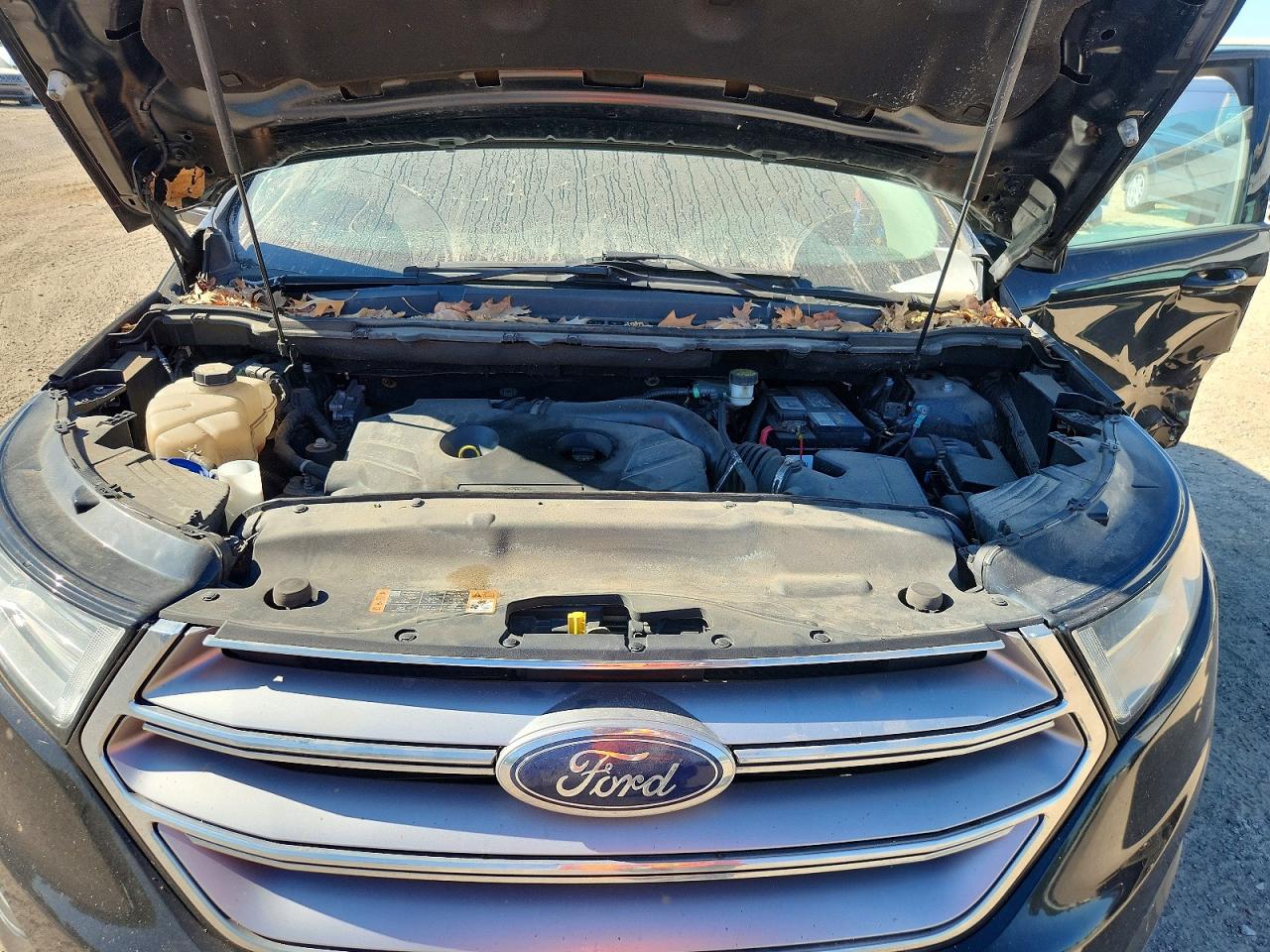 2017 FORD EDGE