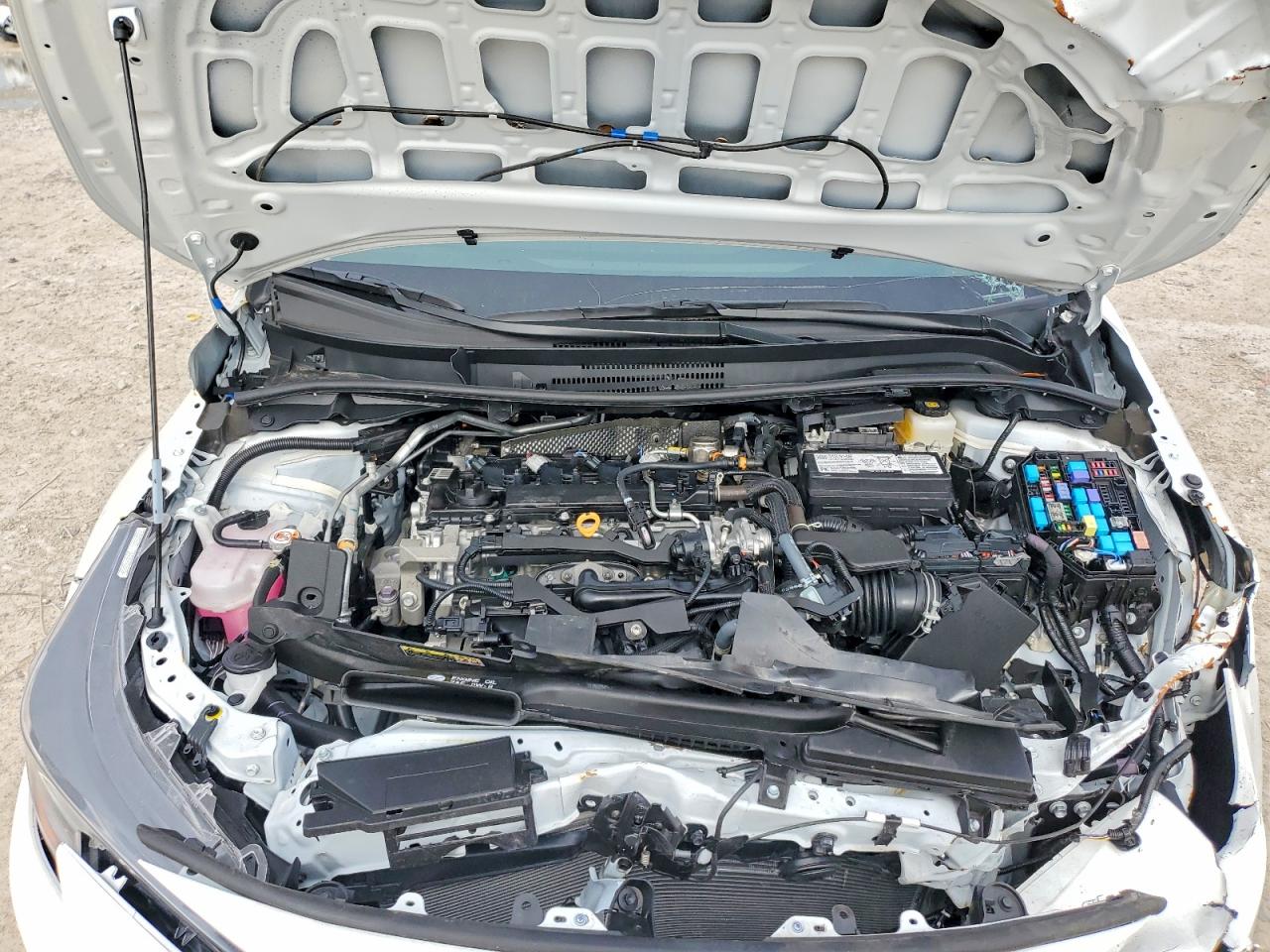 2026 TOYOTA COROLLA