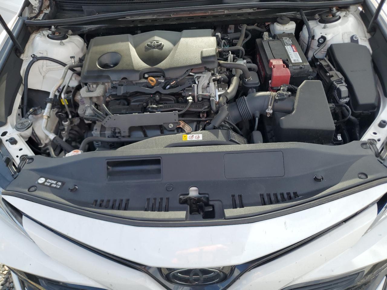 2019 TOYOTA CAMRY
