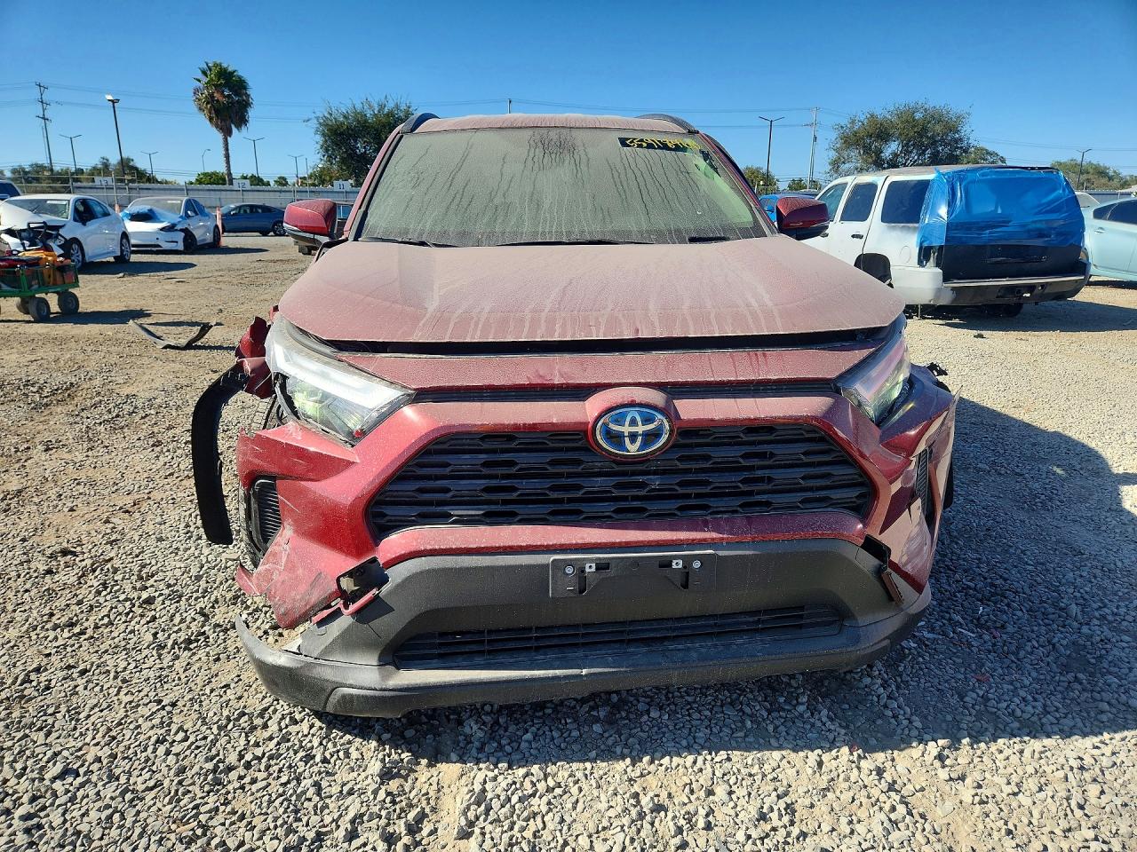 2024 TOYOTA RAV4