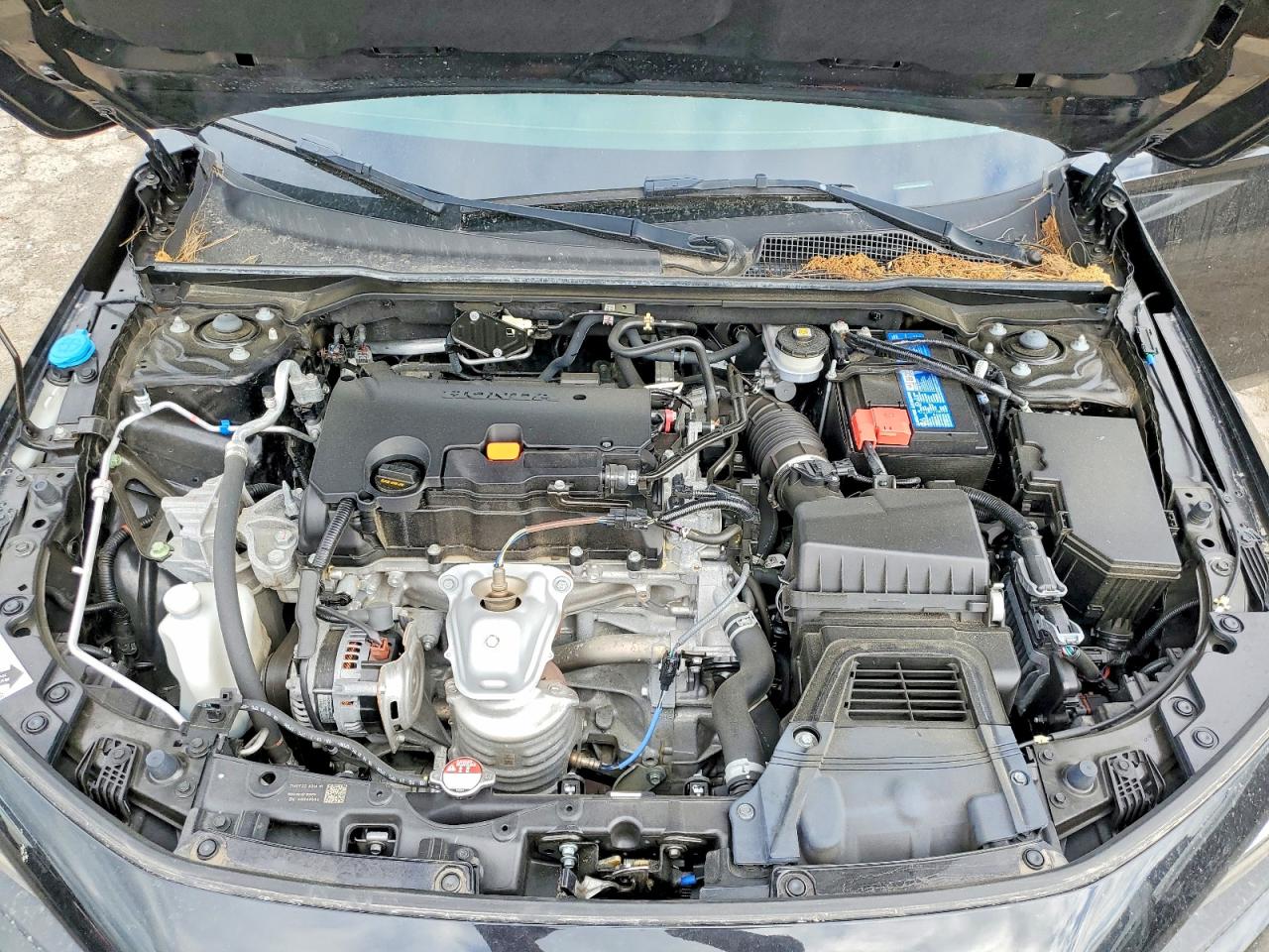 2023 HONDA CIVIC