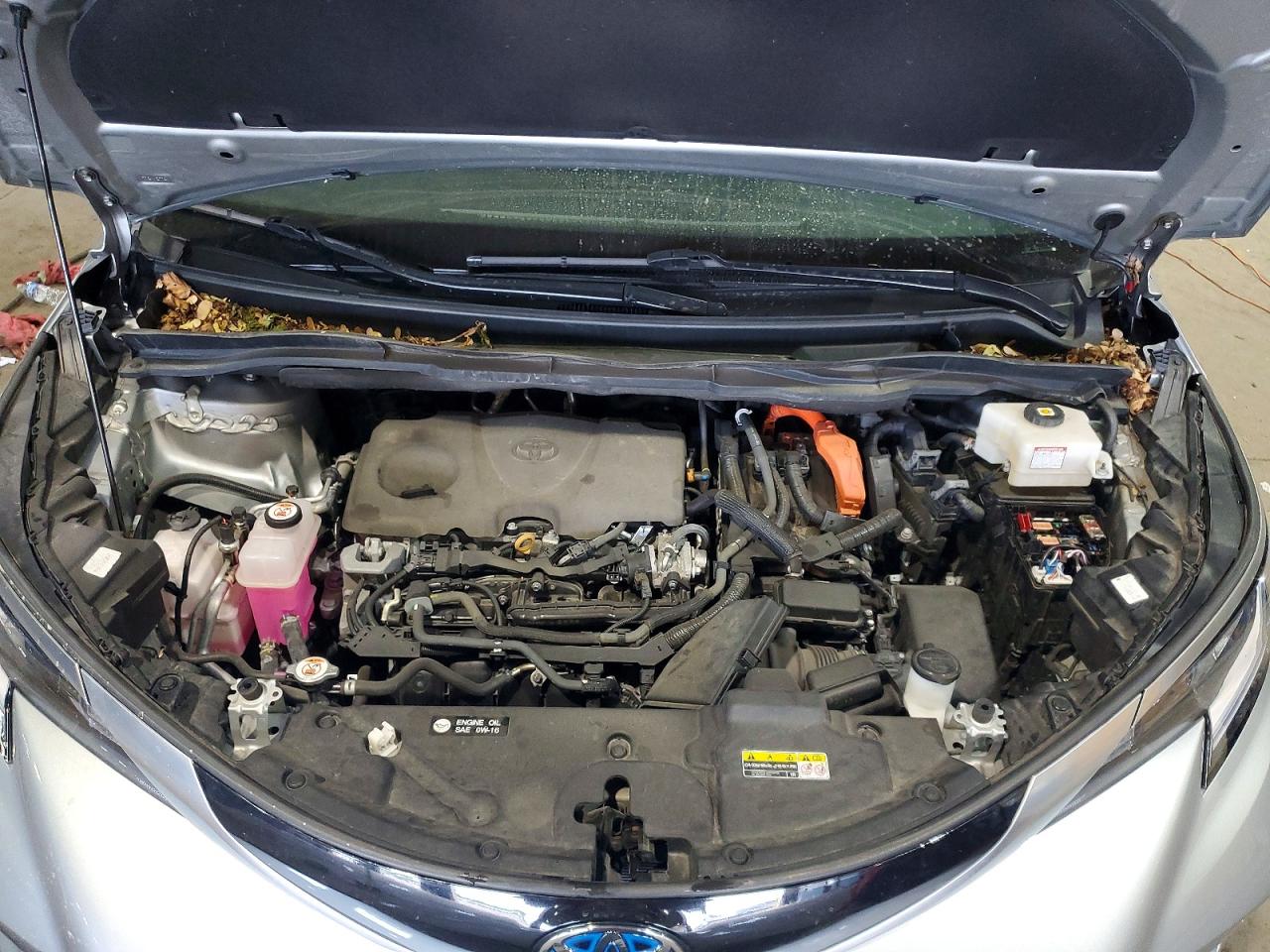 2023 TOYOTA SIENNA