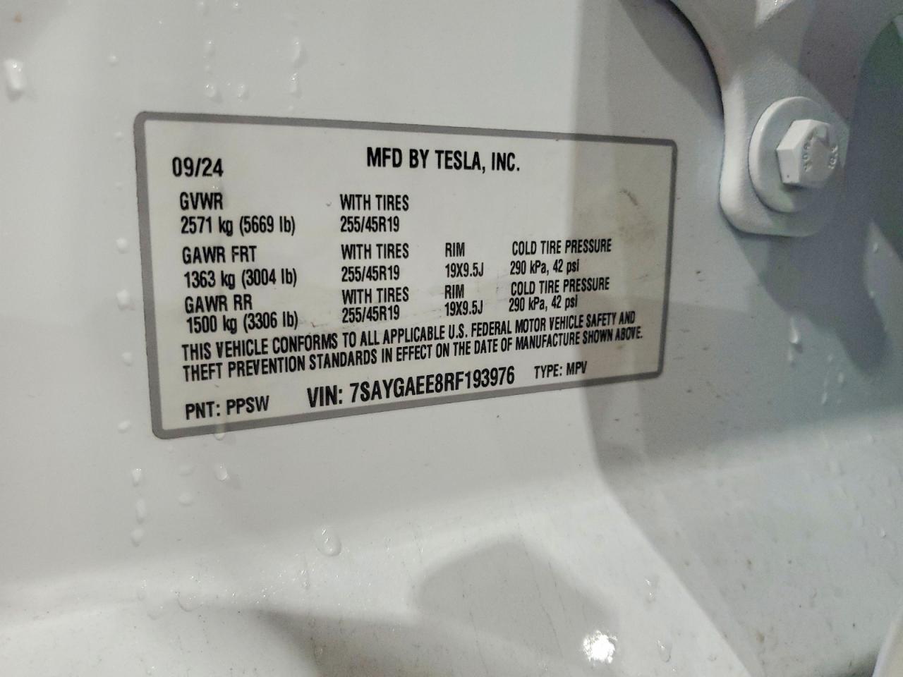 2024 TESLA MODEL Y