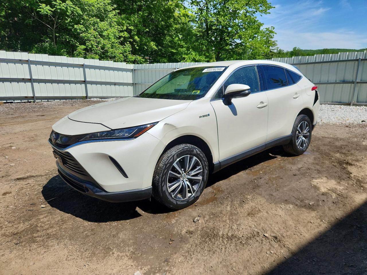 2021 TOYOTA VENZA