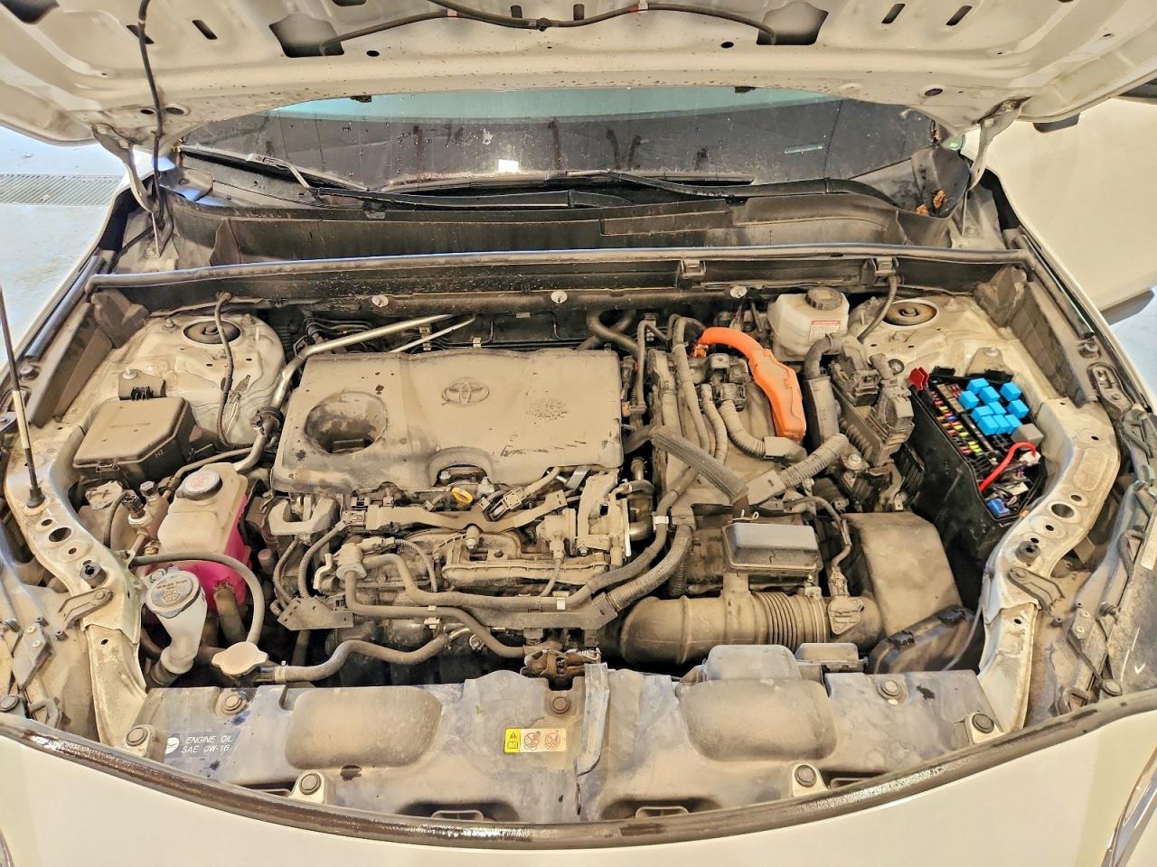 2021 TOYOTA VENZA