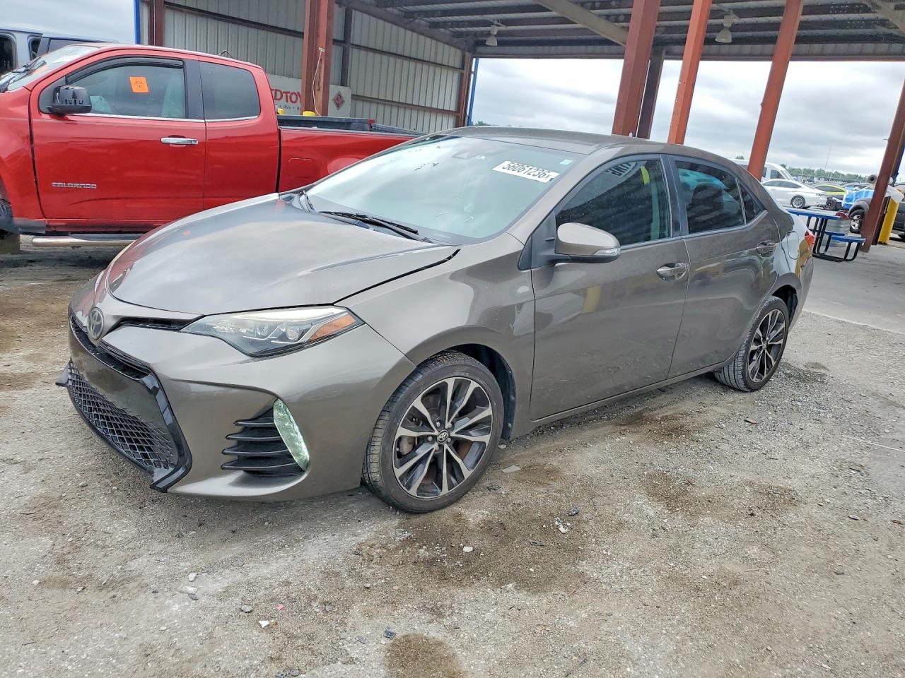 2019 TOYOTA COROLLA