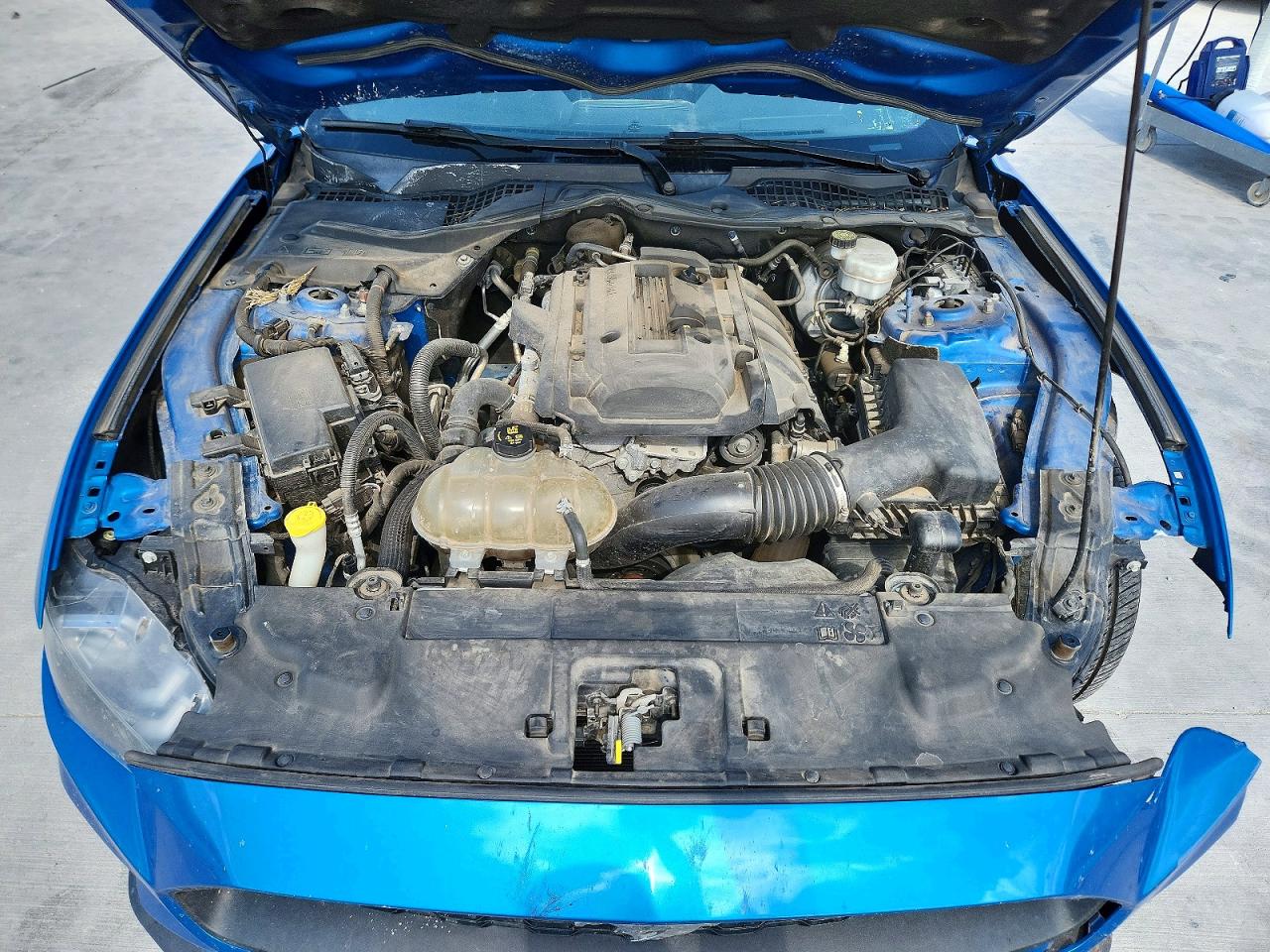 2019 FORD MUSTANG